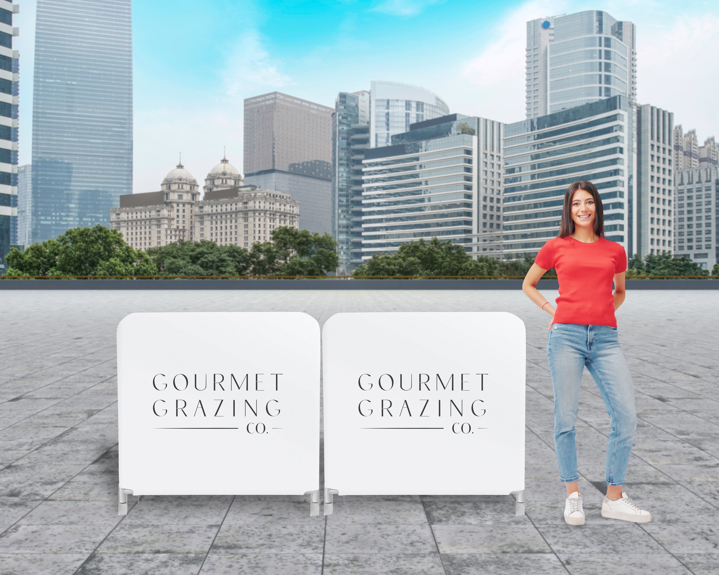 Crowd Control Barriers