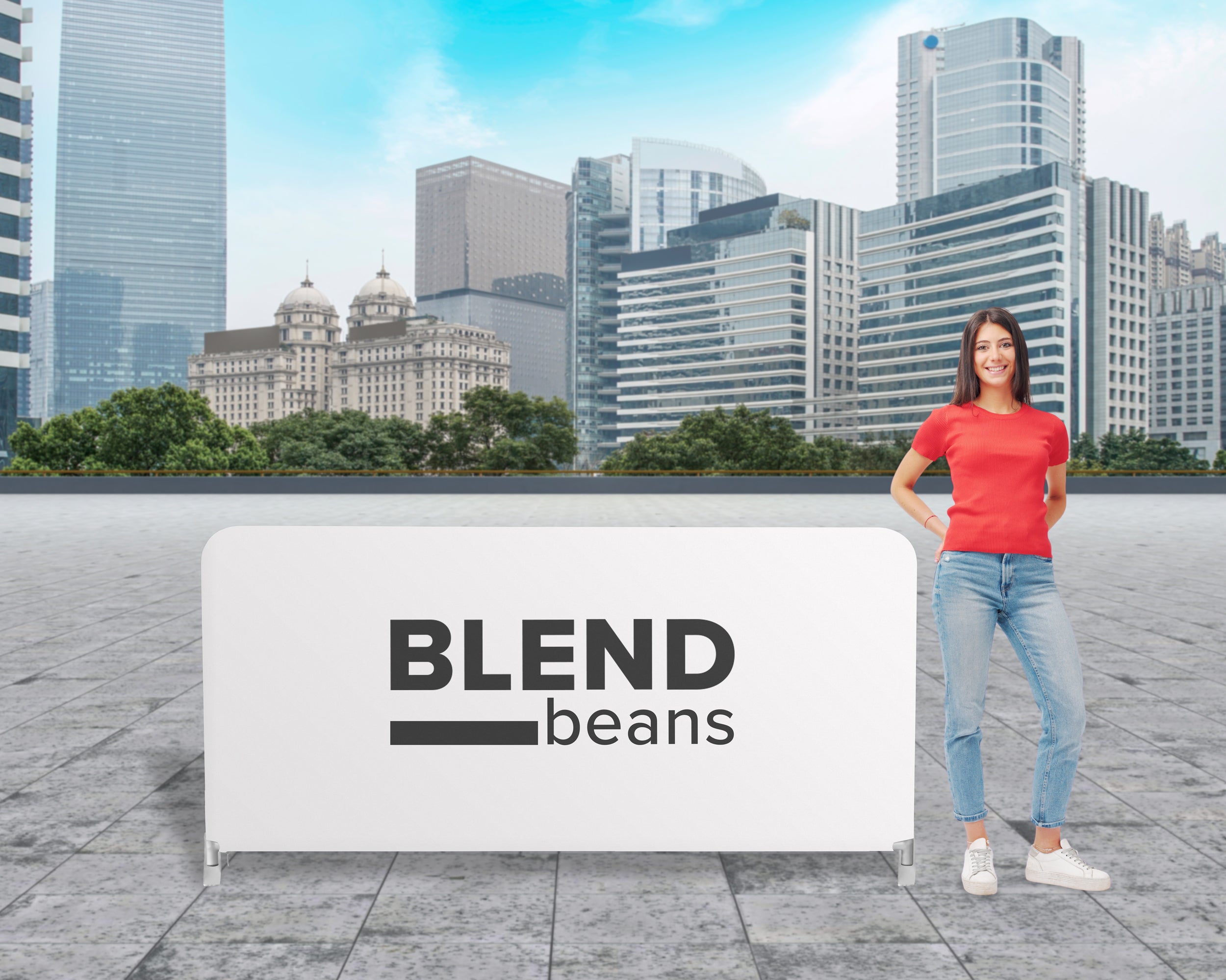 Crowd Control Barriers